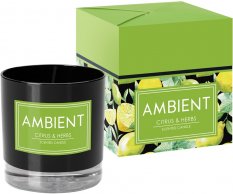 BISPOL Ambient Vonná svíčka - Citrus & Herbs 170 g