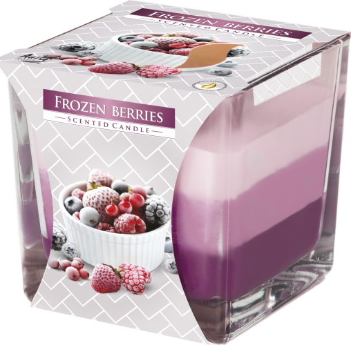 BISPOL Vonná svíčka Frozen berries 170 g